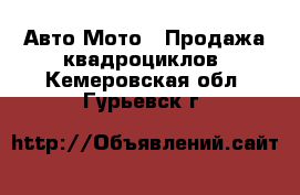 Авто Мото - Продажа квадроциклов. Кемеровская обл.,Гурьевск г.